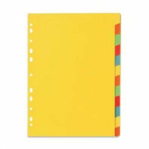 LION KARTON DIVIDER 12-TABS