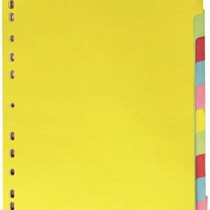 LION KARTON DIVIDER 10-TABS